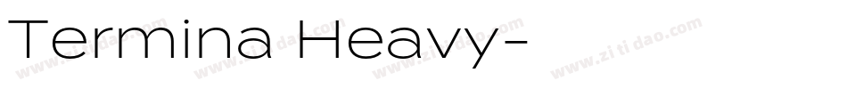 Termina Heavy字体转换